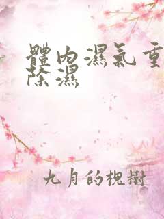 体内湿气重怎么除湿