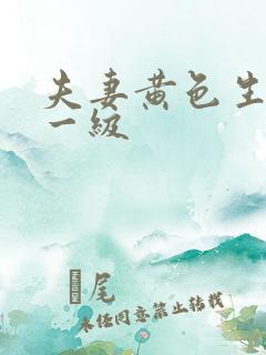 夫妻黄色生活片一级