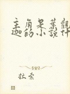 主角是叶观纳兰迦的小说什么名