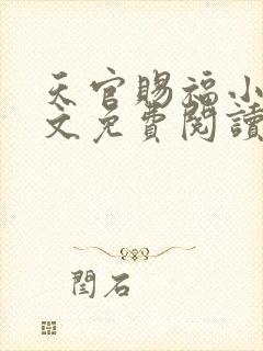 天官赐福小说全文免费阅读无删减