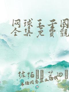 网球王子国语版全集免费观看