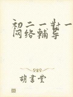 初二一对一数学网络辅导