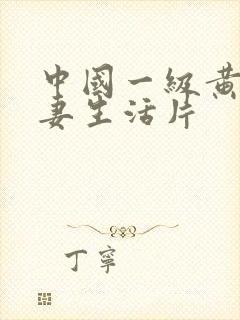 中国一级黄色夫妻生活片