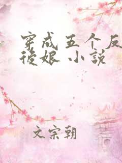 穿成五个反派的后娘 小说