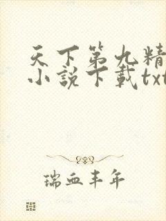 天下第九精校版小说下载txt
