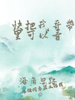 快把我哥带走哪里可以看