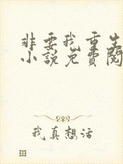 非要我重生是吧小说免费阅读全文