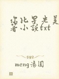 你比星光美丽原著小说txt