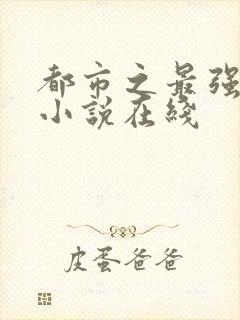 都市之最强狂兵小说在线