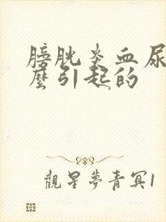 膀胱炎血尿是怎么引起的