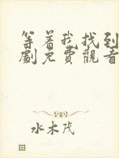 等着我找到我短剧免费观看