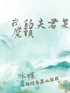 我的夫君是灭世魔头