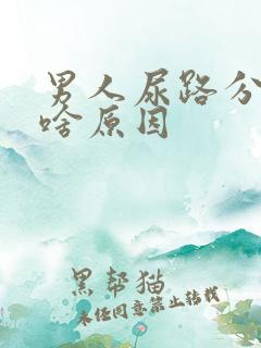 男人尿路分叉是啥原因