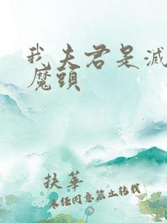 我夫君是灭世大魔头