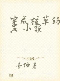 穿成校草的前男友 小说