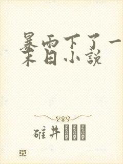 暴雨下了一年的末日小说