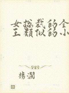 女总裁的全能兵王类似的小说