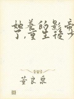 她养的影帝黑化了,重生后少惹他