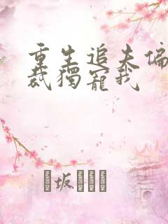 重生追夫偏执总裁独宠我