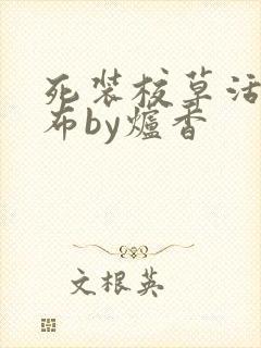 死装校草活该抹布by炉香