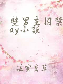 双男主囚禁play小说