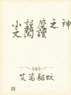 小说魔之神起全文阅读