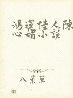 鸿运佳人陈斌赵心媚小说