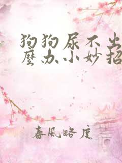 狗狗尿不出来怎么办小妙招