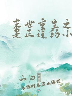 末世重生之宠妻是正道的小说