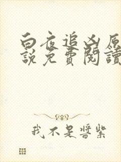 白夜追凶原著小说免费阅读