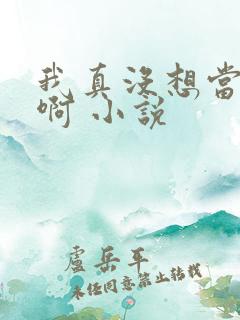 我真没想当反派啊 小说