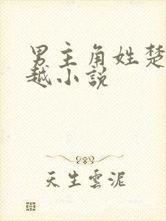 男主角姓楚的穿越小说