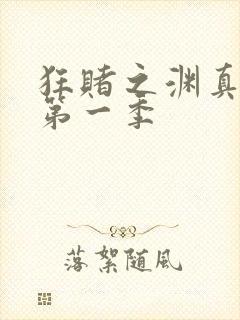 狂赌之渊真人版第一季