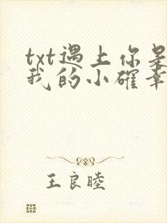 txt遇上你是我的小确幸