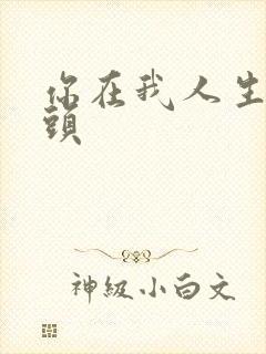 你在我人生的尽头