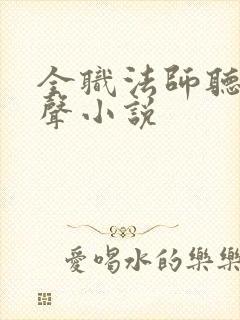 全职法师听书有声小说