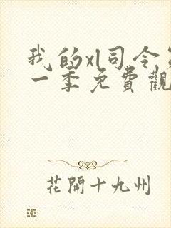 我的xl司令第一季免费观看动漫全集