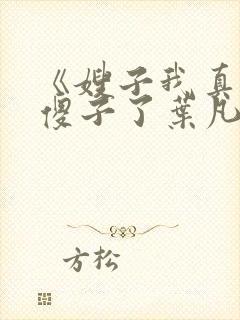 《嫂子我真不是傻子了叶凡》