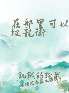 在哪里可以看神级龙卫