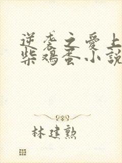 逆袭之爱上情敌柴鸡蛋小说版免费