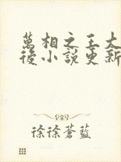 万相之王大结局后小说更新