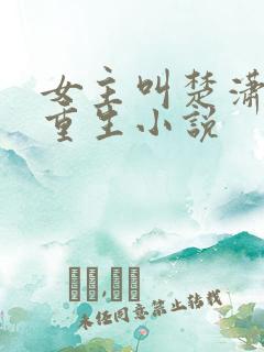 女主叫楚潇潇的重生小说