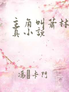 主角叫萧林的修真小说