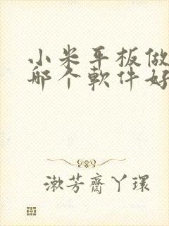 小米平板做笔记哪个软件好