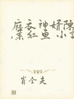 麻衣神婿陈黄皮,叶红鱼 小说