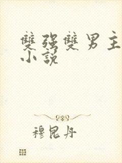 双强双男主现代小说