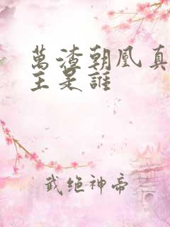 万渣朝凰真正男主是谁