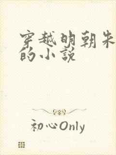 穿越明朝朱雄英的小说