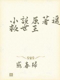 小说原著遥远的救世主