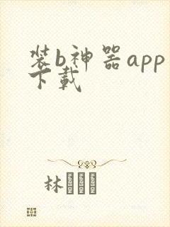 装b神器app下载